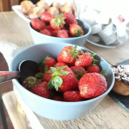 Bed and breakfast Al Cavour 21 Campiglia Marittima
